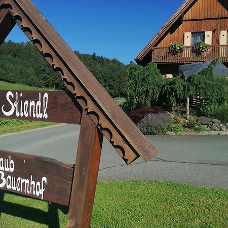 Вілла Am Jaukhof Familie Stiendl Neudorf im Sausal Екстер'єр фото