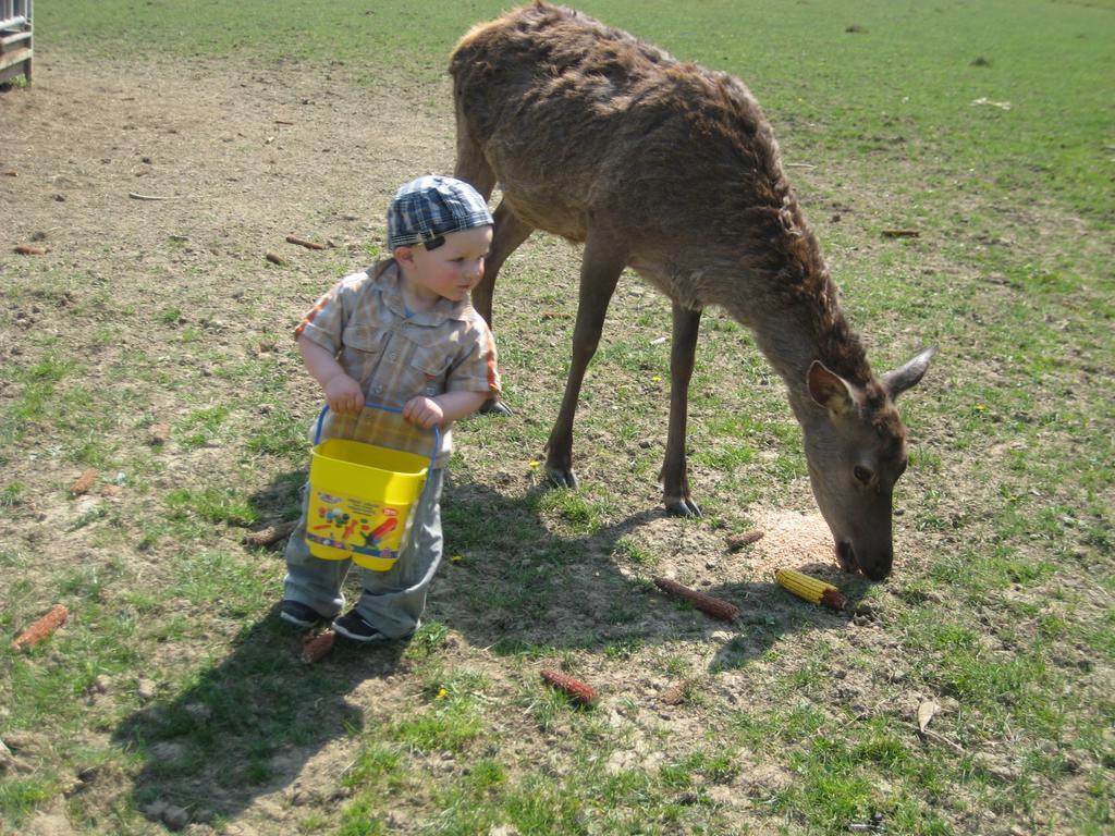 Вілла Am Jaukhof Familie Stiendl Neudorf im Sausal Екстер'єр фото